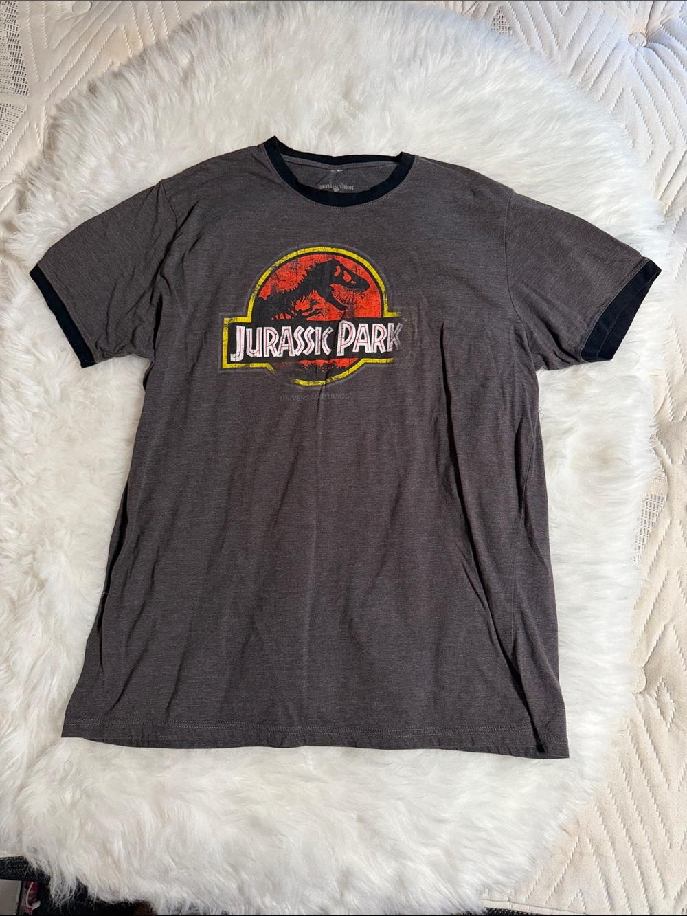 Jurassic Park Men's Charcoal Ringer Graphic Tee